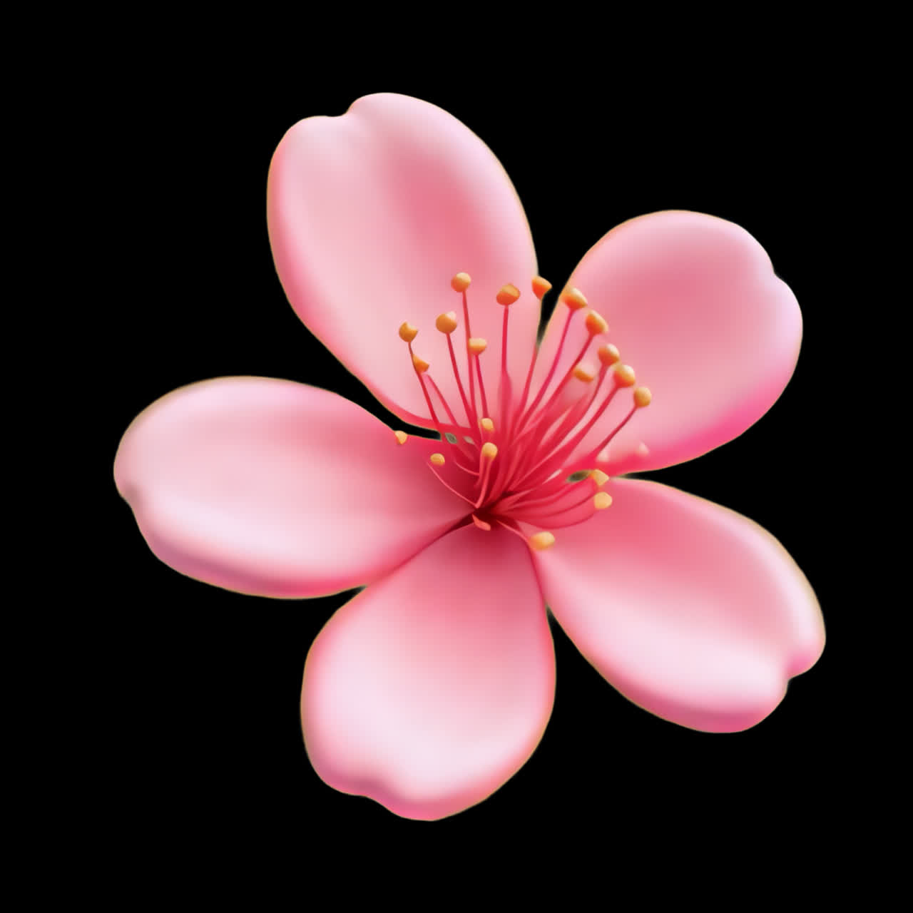 Vibrant pink flower illustration animation isolated asset, transparent 4K video, alpha channel
