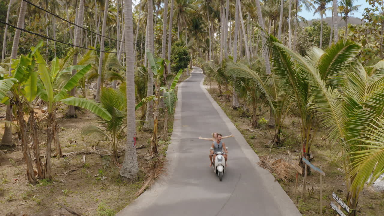 열대 섬 에서 스쿠터 를 타고 있는 부부 가 오토바이 를 타고  ⁇  나무 숲 을 탐험 하고 있는 관광객 들 이 오토바이 를 타고 휴가 목적지 를 탐험 하고 있다