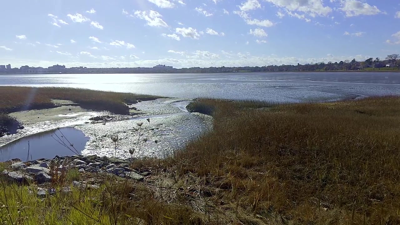 Portland, Maine Back Bay at low tide and view of skyline