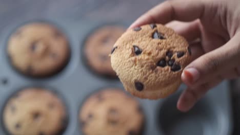 mujer tomando un muffin de chispas de chocolate de una lata de muffin