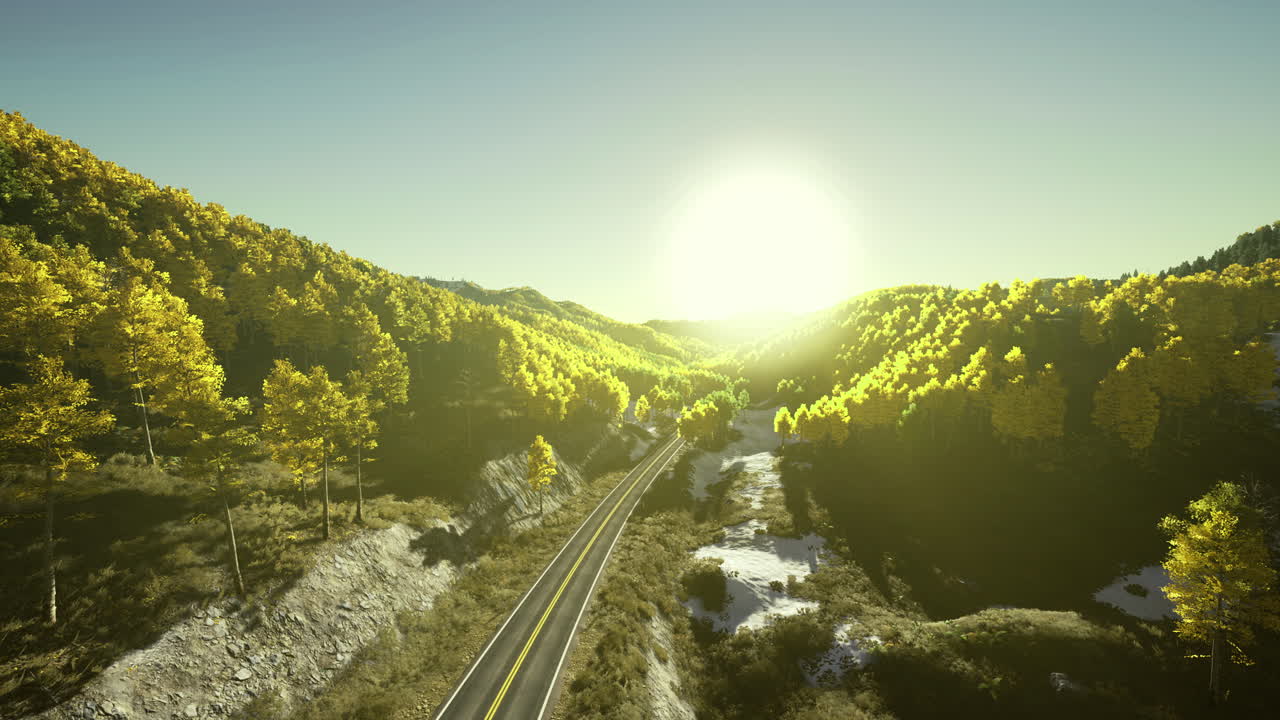 Beautiful landscape road surrounded by vibrant trees during sunset