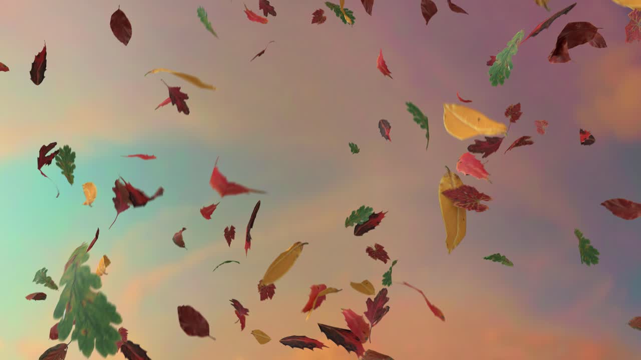 Caduta delle foglie autunno caduta stagioni Ringraziamento alberi foglia 4k
