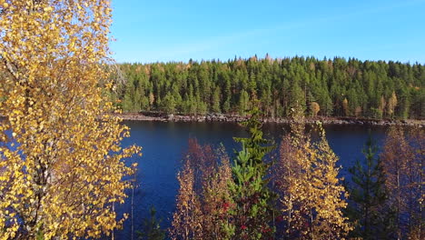 colorful autumn landscape with swaying trees and leaves floating in the air