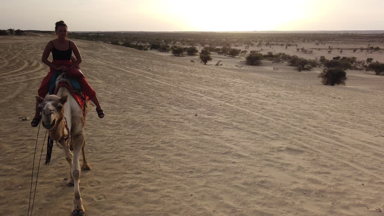 Tourist Riding Camel Twith Guide hrough Thar Desert at Sunset near, Jaisalmer, Rajasthan, India