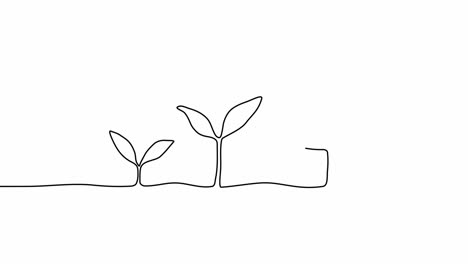 continuous one line drawing plant germination sequence on white background. self drawing animation. hand drawn steps of growing from seeds trees, simple design, art. growth concept. stepped sprout. 4k