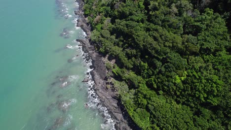 ascending on rainforest in daintree national park, tropical north queensland, australia