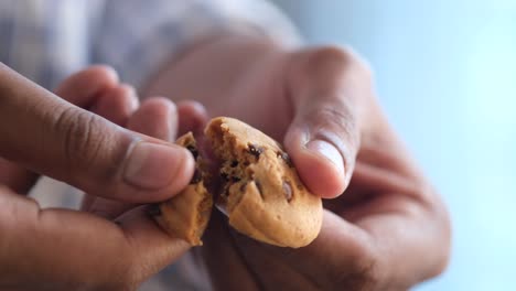 person eating a chocolate chip cookie