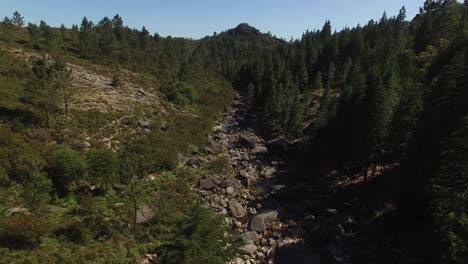 Antenne-Ein-Bergbach-Und-Wald-02