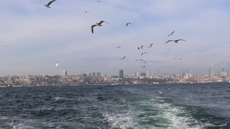 Flock-Of-Seagulls-Flying-Over-Backwash-Of-Boat-Sailing-At-Bosphorus-In-Istanbul,-Turkey