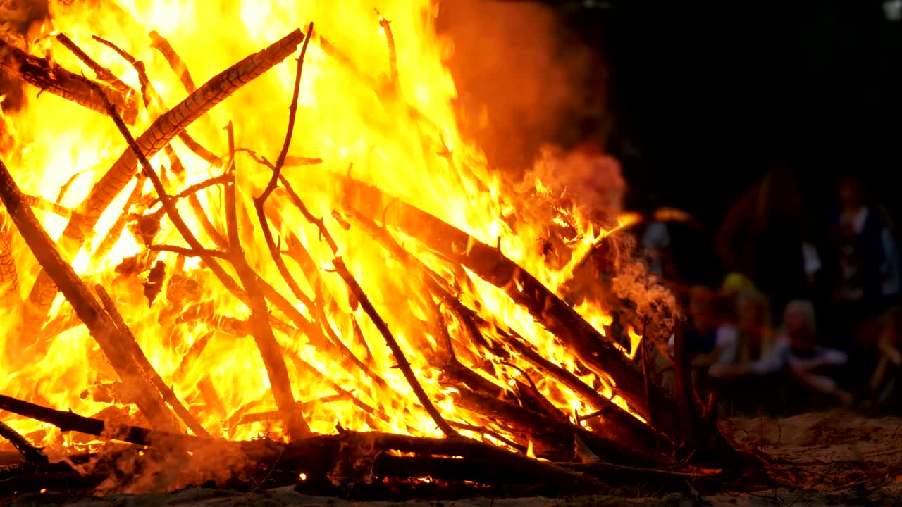 fuego de campamento de las ramas quema por la noche en el bosque en el fondo de la gente