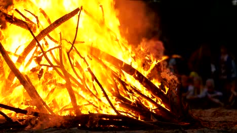 campfire of the branches burn at night in the forest on the background of people