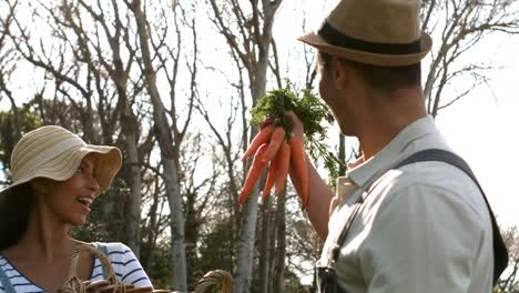 una joven pareja feliz con una caja de verduras