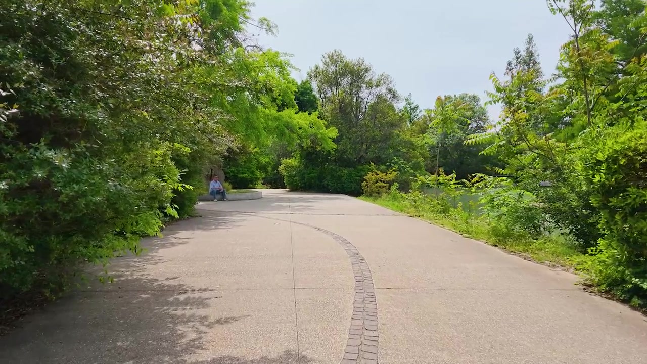 A wide shot follows a paved walking path through vibrant green bushes and tall trees