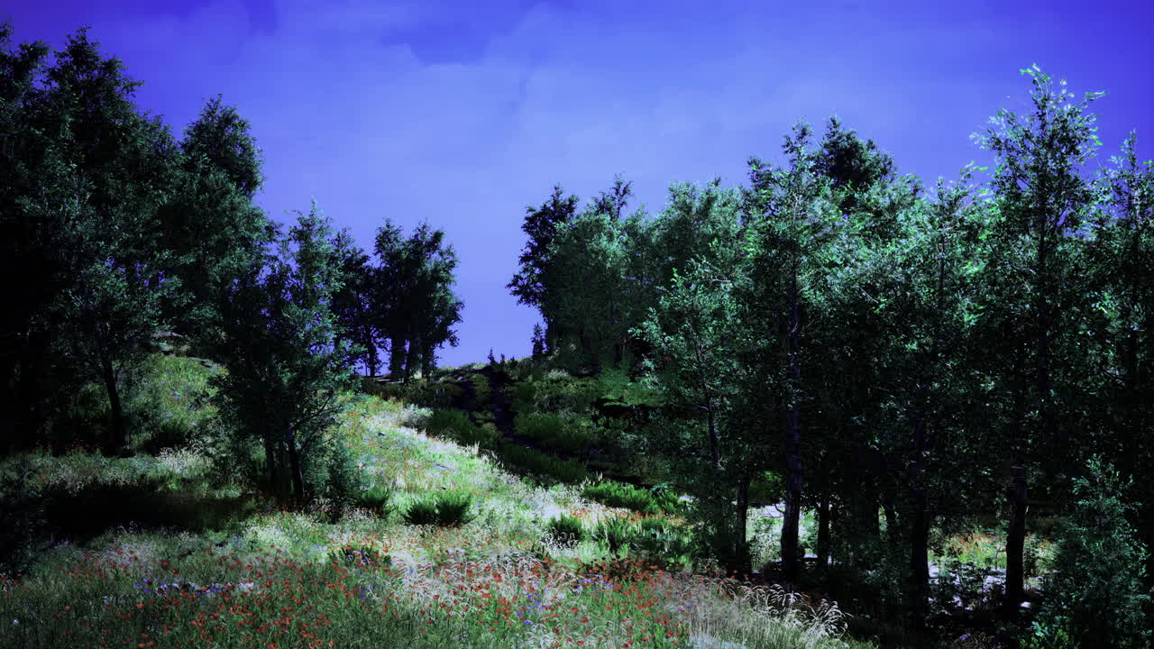 Vibrant greenery under a bright blue sky on a sunny day in a lush landscape
