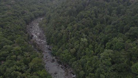 lush green rainforest beside the rocky river in mossman gorge at shire of douglas, qld, australia