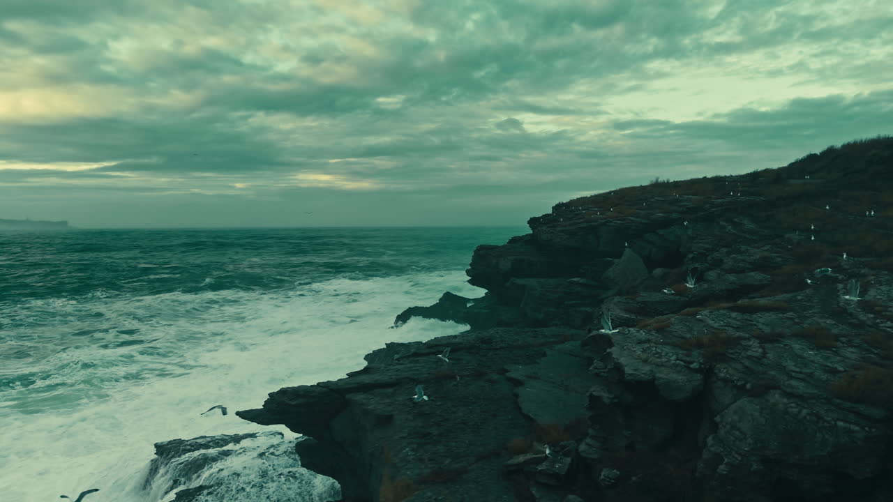 Dramatic Aerial View of Ocean Waves Crashing on Rocky Coastline with Seagulls