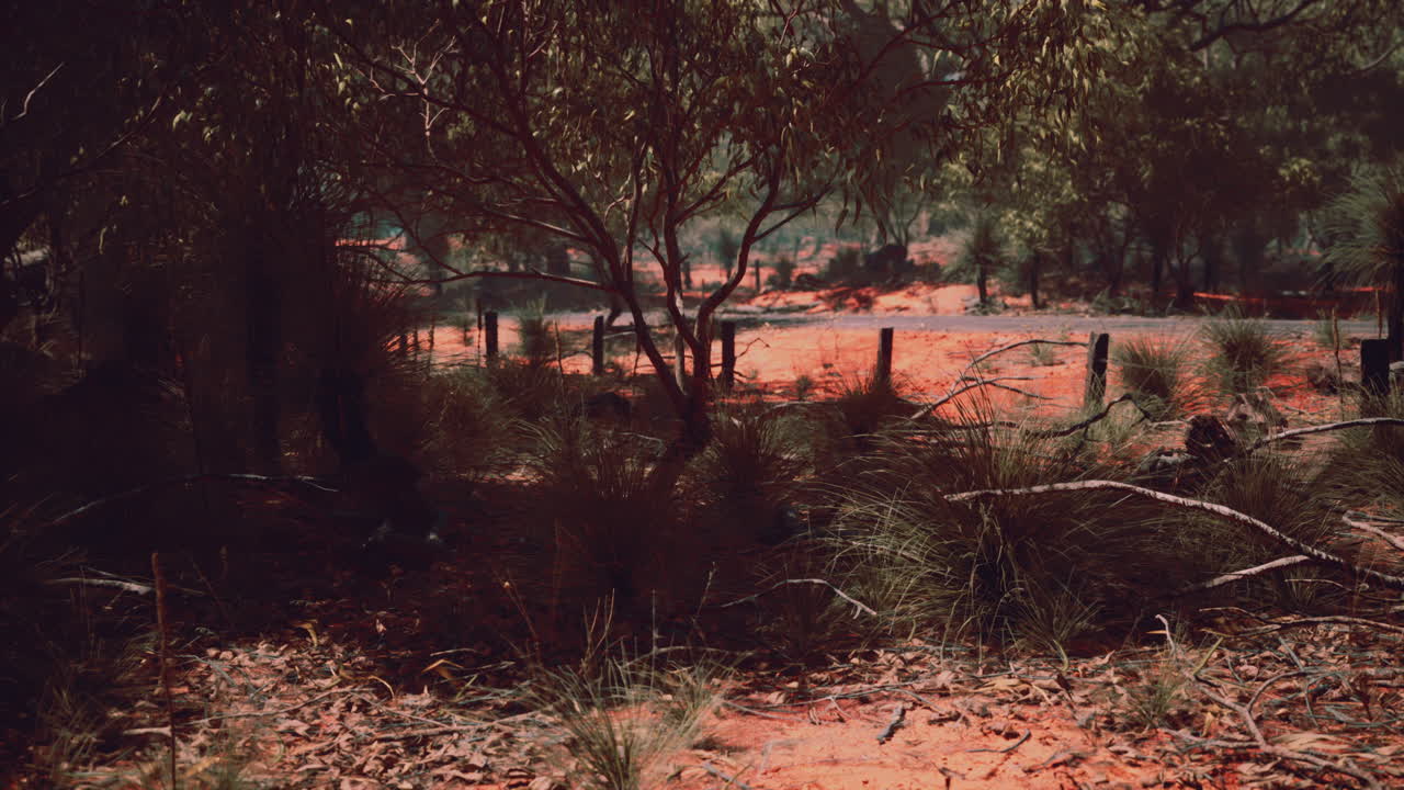 arbusto de arena roja con árboles