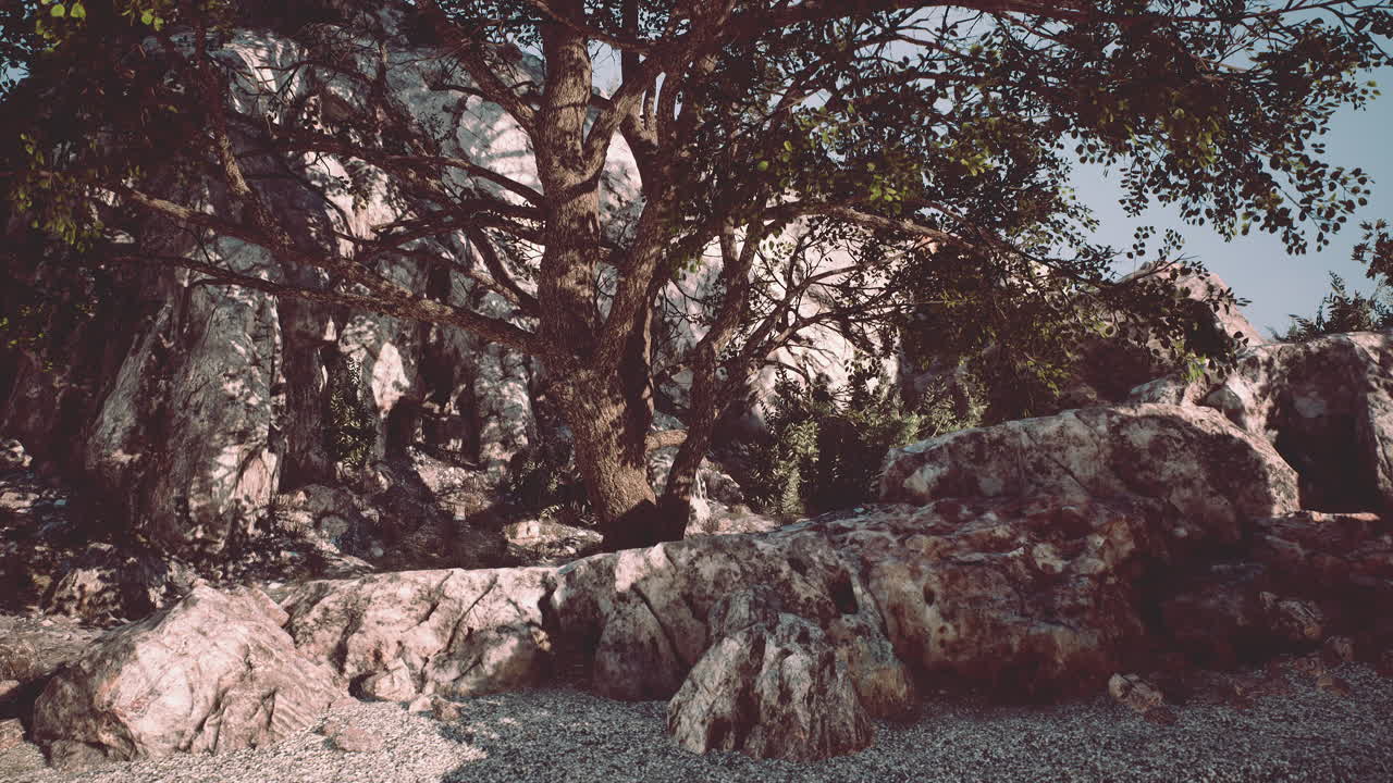 저녁에 산 꼭대기에 있는 외로운 나무