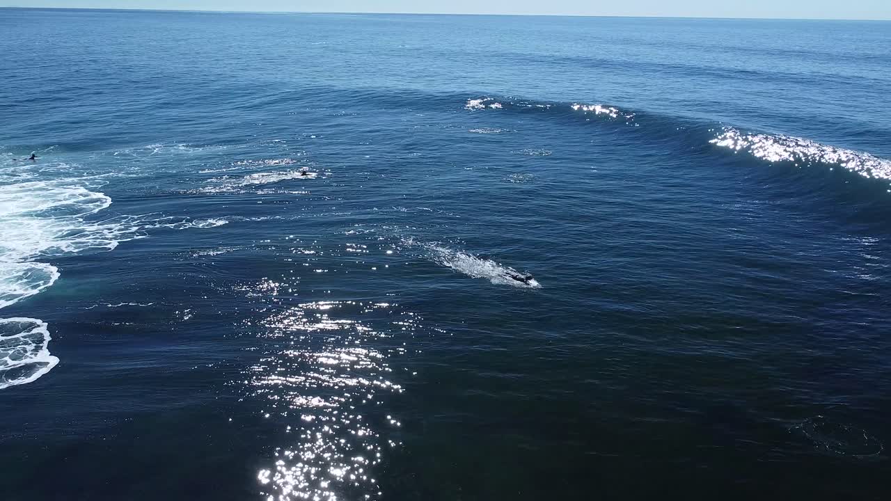 말발굽 라호야 해안 무인 항공기보기