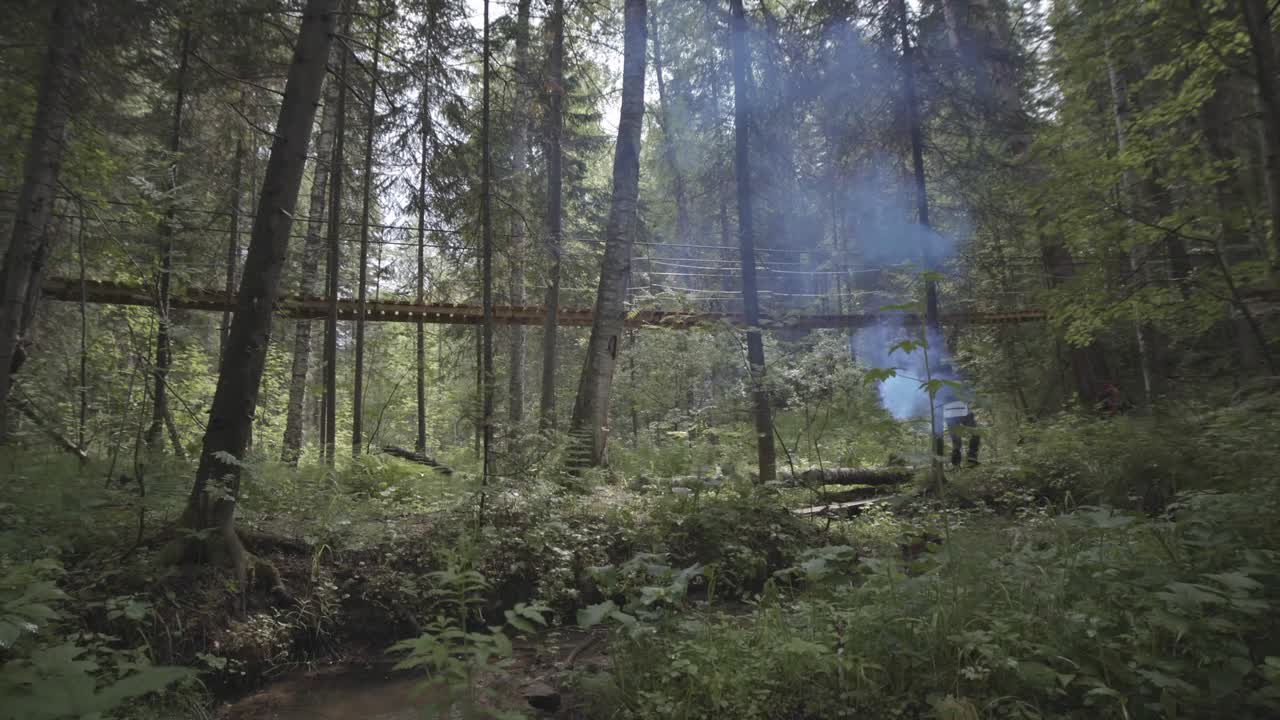 puente de madera a través de un bosque exuberante