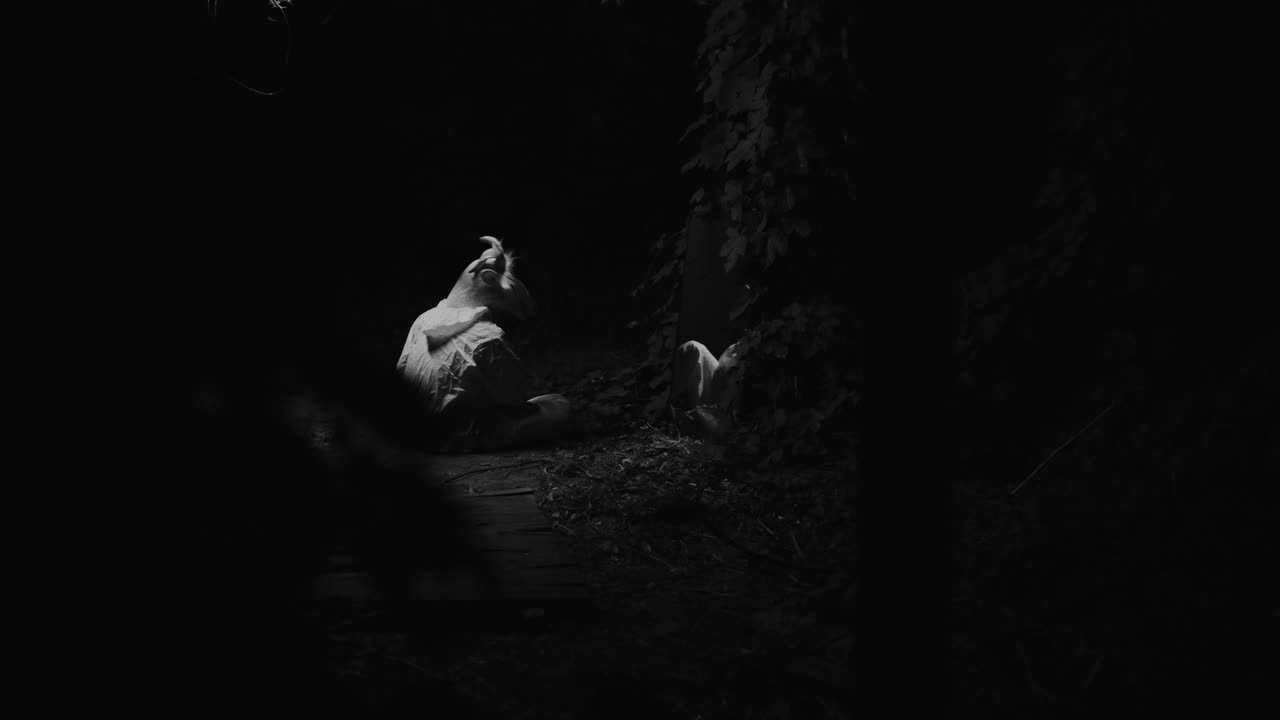 Misteriosa silhouette di animale di notte