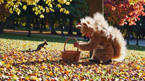 child in squirrel costume in autumn park