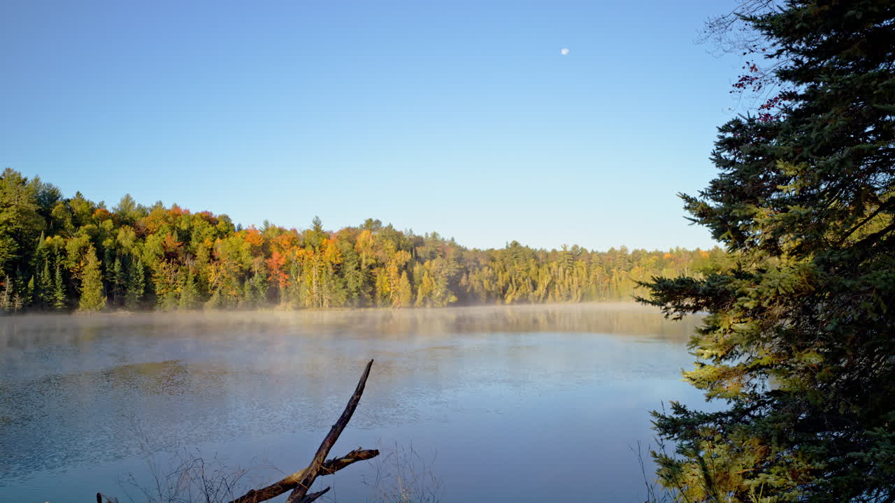Cinematic early morning river shot featuring mist and soft sunrise light