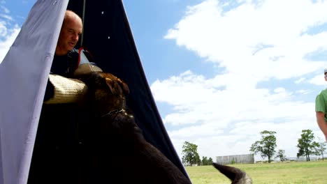 trainer training a shepherd dog in the field 4k