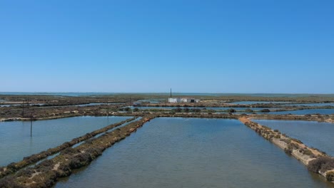 vista aérea de la vida silvestre del algarve en portugal