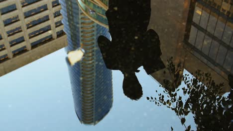 reflection of a businessman in the puddle using digital tablet