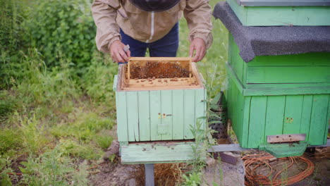 Der-Imker-Entfernt-Vorsichtig-Den-Rahmen-Aus-Dem-Bienenstock-Und-Prüft,-Ob-Sich-Honig-Darauf-Befindet