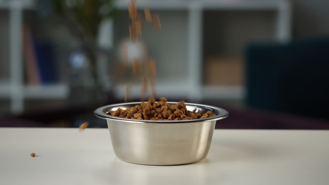 verter comida seca para perros en un cuenco de metal de primer plano. alimentar animales domésticos. golosinas saludables para cachorros. pila de harina crujiente para gatos de pedigrí. gránulos orgánicos cayendo en el plato. tienda de mascotas y entrega