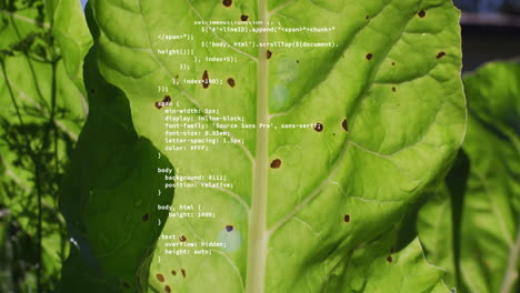 animación del procesamiento de datos sobre hojas verdes