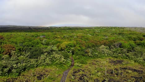 Vuelo-Hacia-Adelante-Sobre-El-Bosque-En-La-Base-Del-Kilauea-Con-Un-Arco-Iris-En-El-Fondo