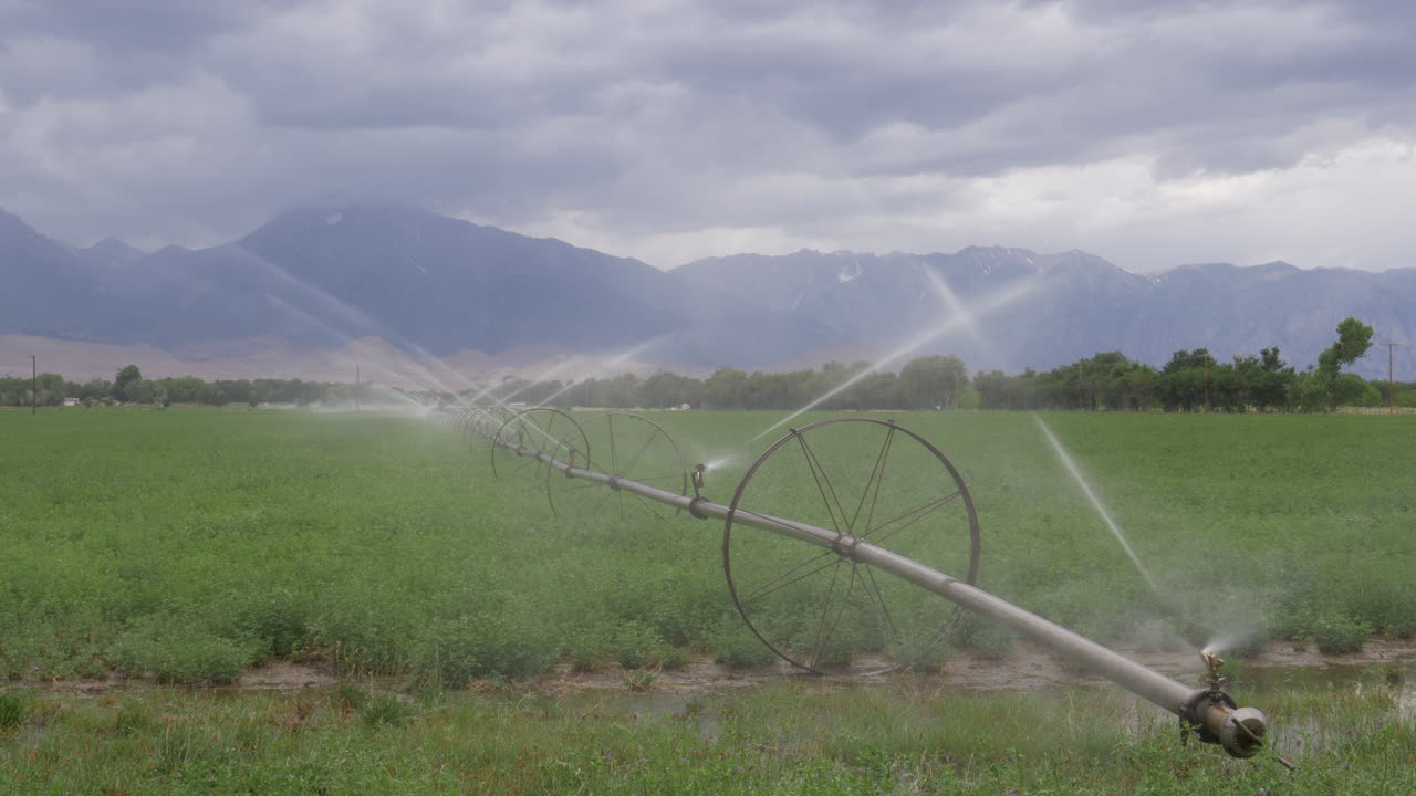 Rolling irrigation system watering green field, mountain background