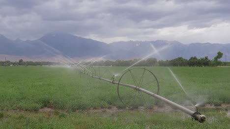 rolling irrigation system watering green field, mountain background