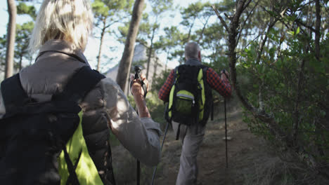 pareja de ancianos activos caminando por las montañas