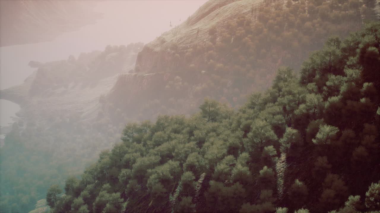 paisaje con un bosque mixto en primavera
