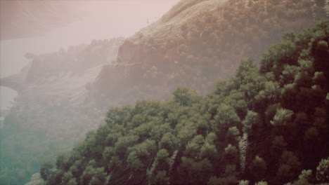 Paisaje-Con-Un-Bosque-Mixto-En-Primavera