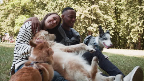 couple with pets oudoors