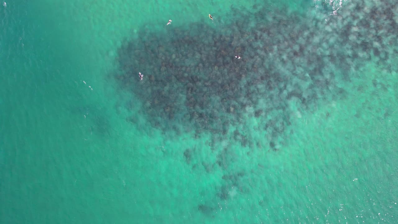 바위 바닥 을 가진  ⁇ 은 물 에서 떠다니는 서퍼 들 의 상상