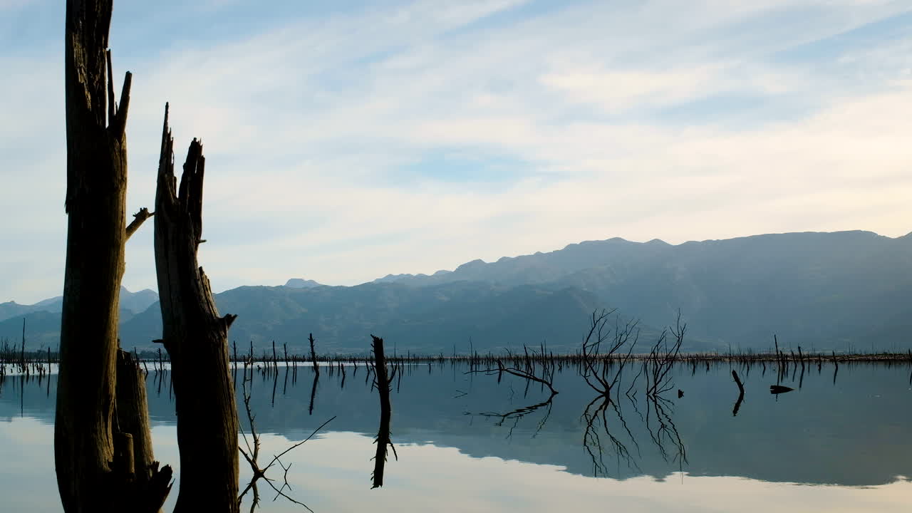 반쯤 잠긴 죽은 나무가 있는 댐 옆에서 평화로운 고독의 순간