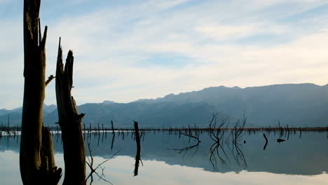 moment of peaceful solitude next to dam with half-submerged dead trees