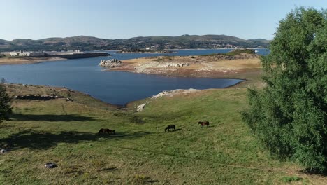 Los-Hermosos-Lagos-Y-El-Paisaje