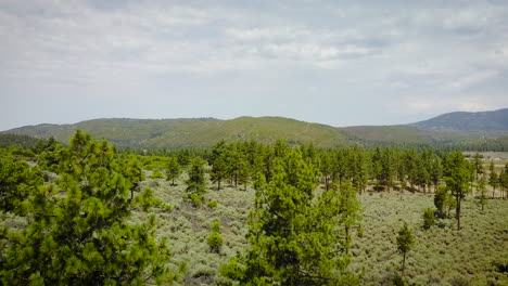 Drone-rises-from-tree-line-to-reveal-a-lake-in-a-mountain-surrounded-area