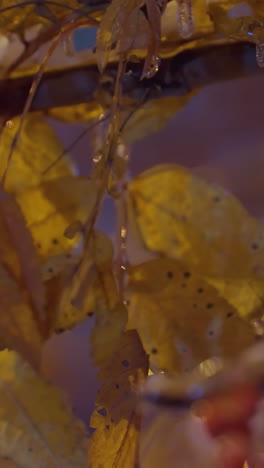primer plano de hojas de otoño heladas y bayas rojas cubiertas de hielo, suavemente iluminadas por luz dorada, fondo brillante borroso crea una atmósfera de invierno serena con un brillo cálido suave