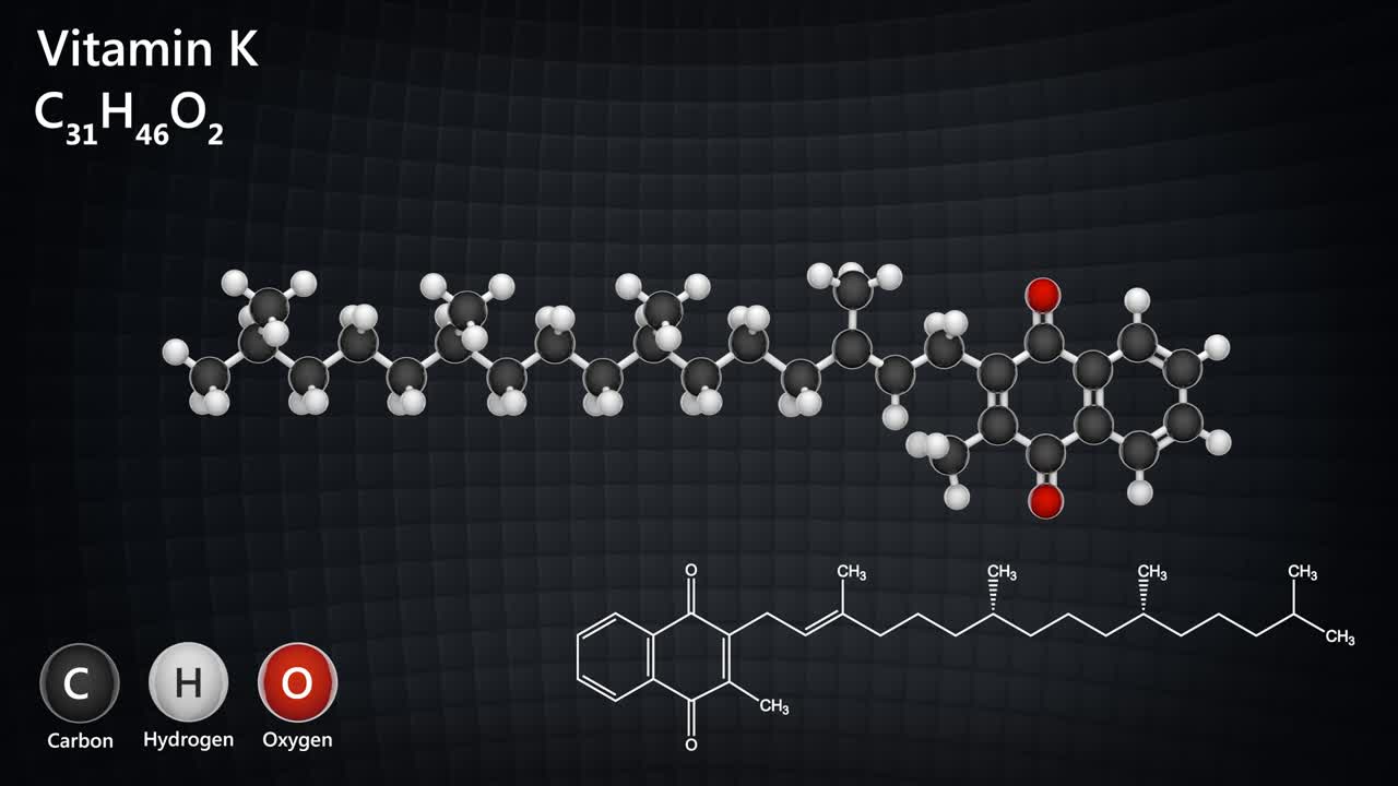 비타민 k (phylloquinone) 의 원활한 순환.
