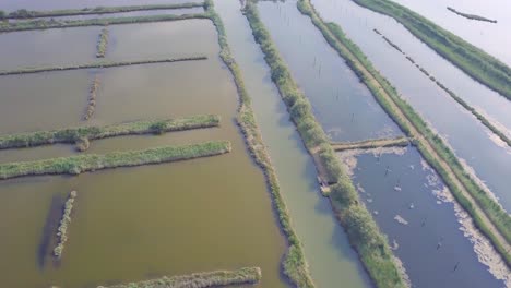 Drohnenflug-über-Sümpfe-Und-überschwemmte-Felder