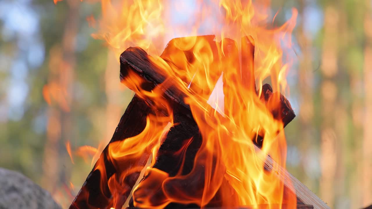 quemando una fogata en el bosque