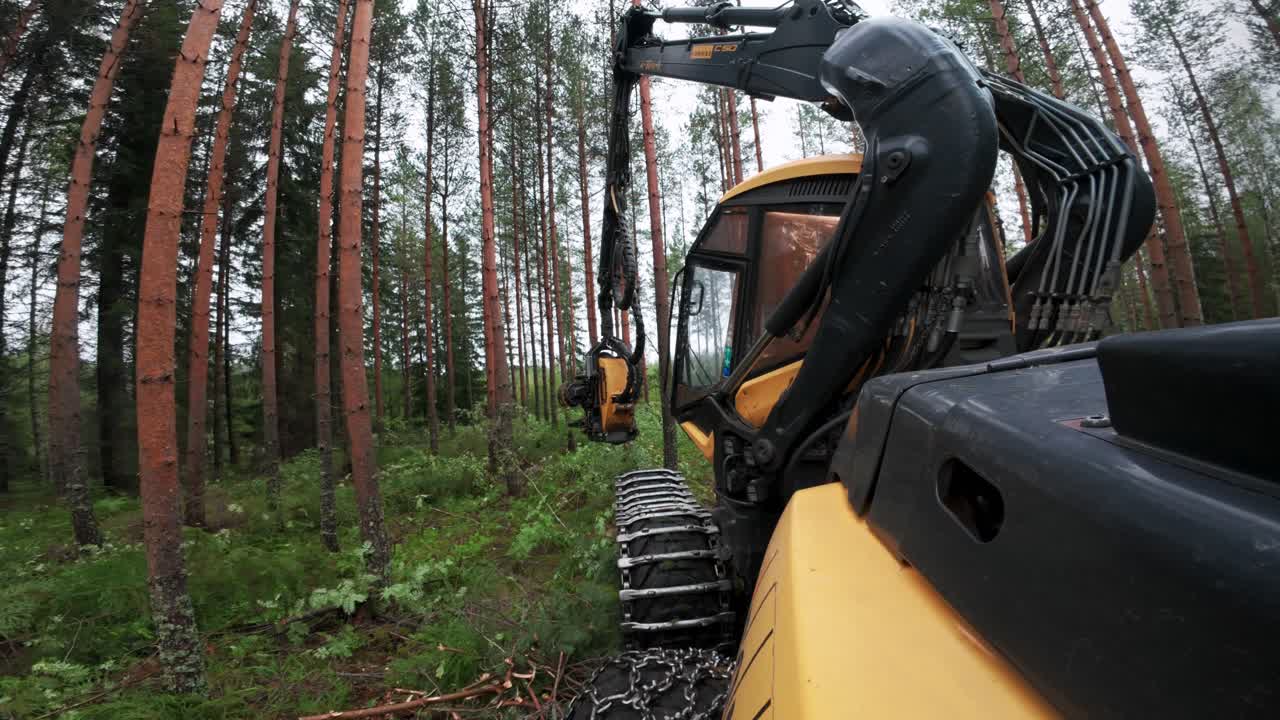노르 숲에서 작업하는 수확기에서 촬영 된 povgopro, dji osmo 액션 4로 촬영